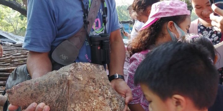 กิจกรรมของมูลนิธิโลกสีเขียว Bangkok Wild Watch