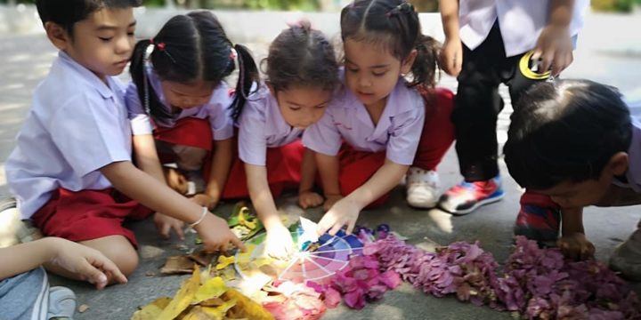 เล่นกับดอกไม้รอบตัว