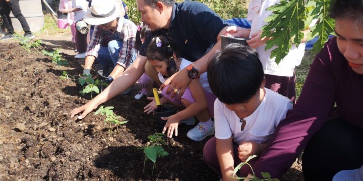 กิจกรรมต้นถั่วที่พ่อ-ลูกปลูก