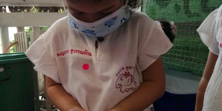 กิจกรรมเรียนรู้เรื่องดินและสิ่งมีชีวิตในดิน