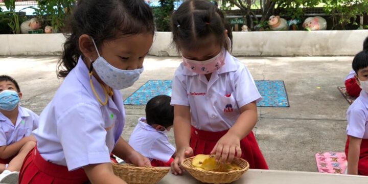 กิจกรรมการอบรมครูกับการพัฒนาทักษะสมองเพื่อความสำเร็จ EF